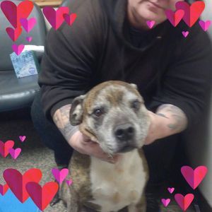 Meet your Posher, Maria